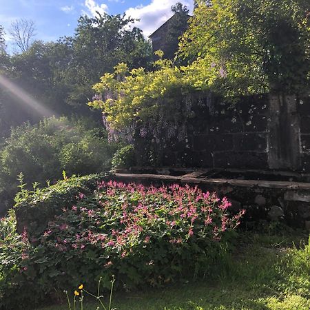 Le Figarelou Bed & Breakfast Thiezac Luaran gambar