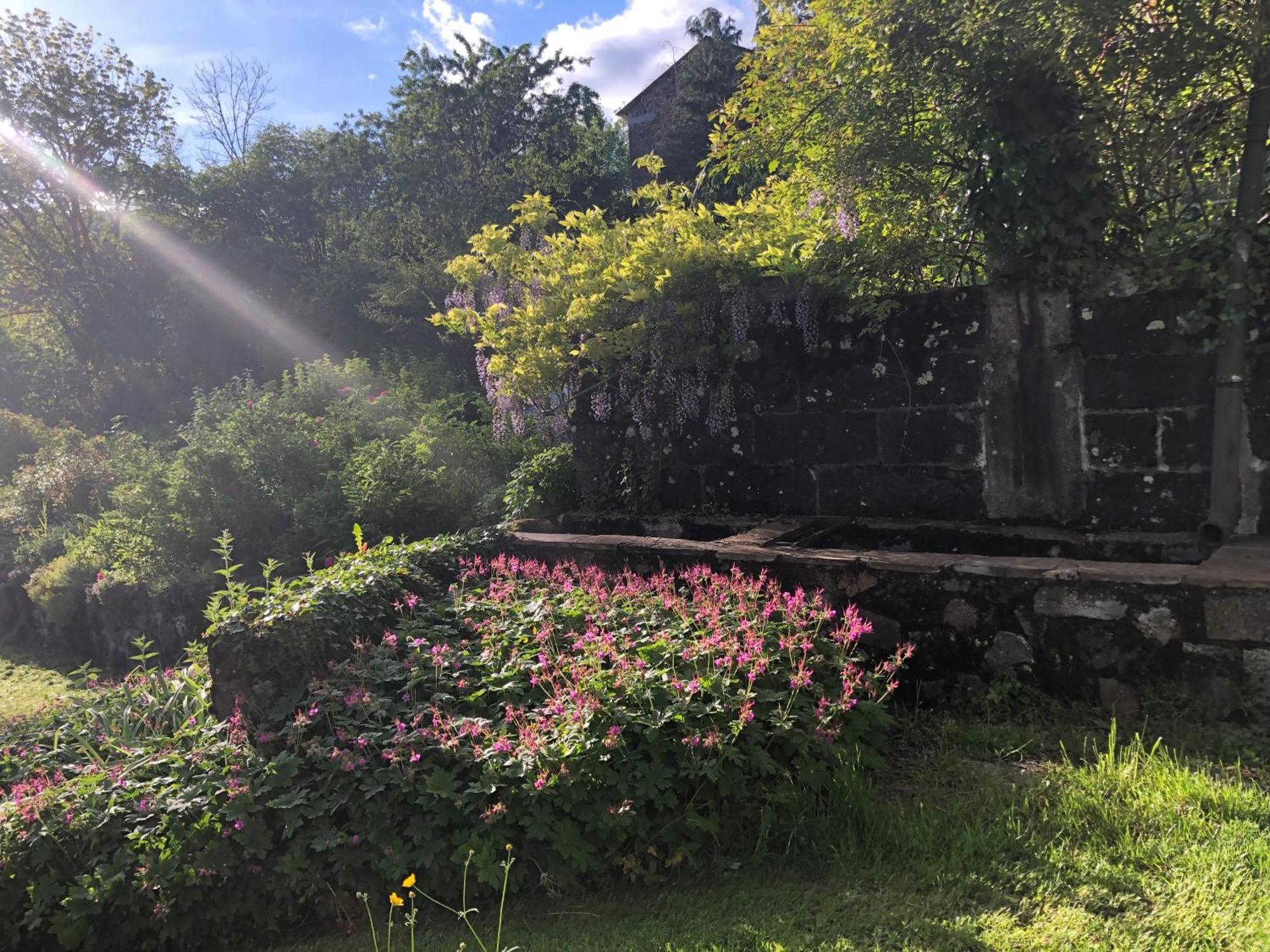 Le Figarelou Bed & Breakfast Thiezac Luaran gambar