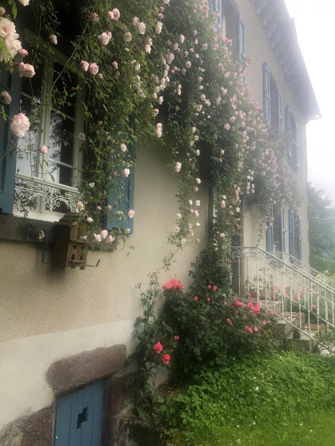 Le Figarelou Bed & Breakfast Thiezac Luaran gambar