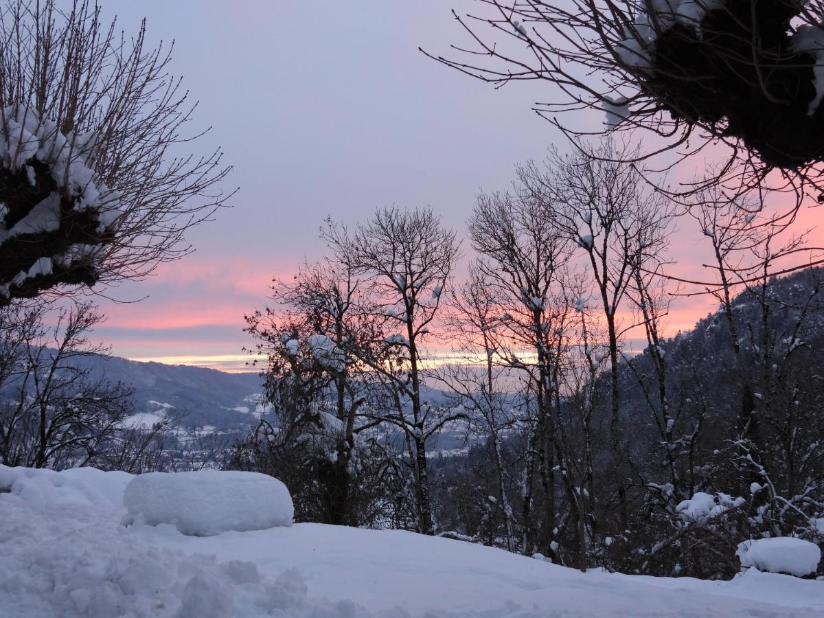 Le Figarelou Bed & Breakfast Thiezac Luaran gambar